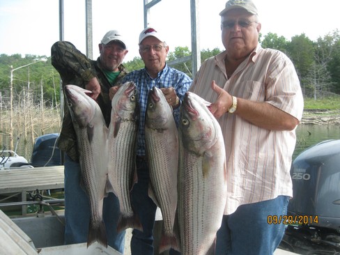 Nice Striped Bass